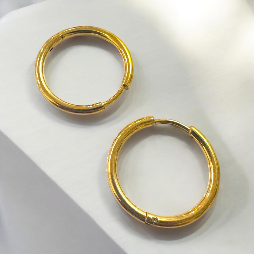 Sleepers Stainless Steel 18k Gold Plated Earrings